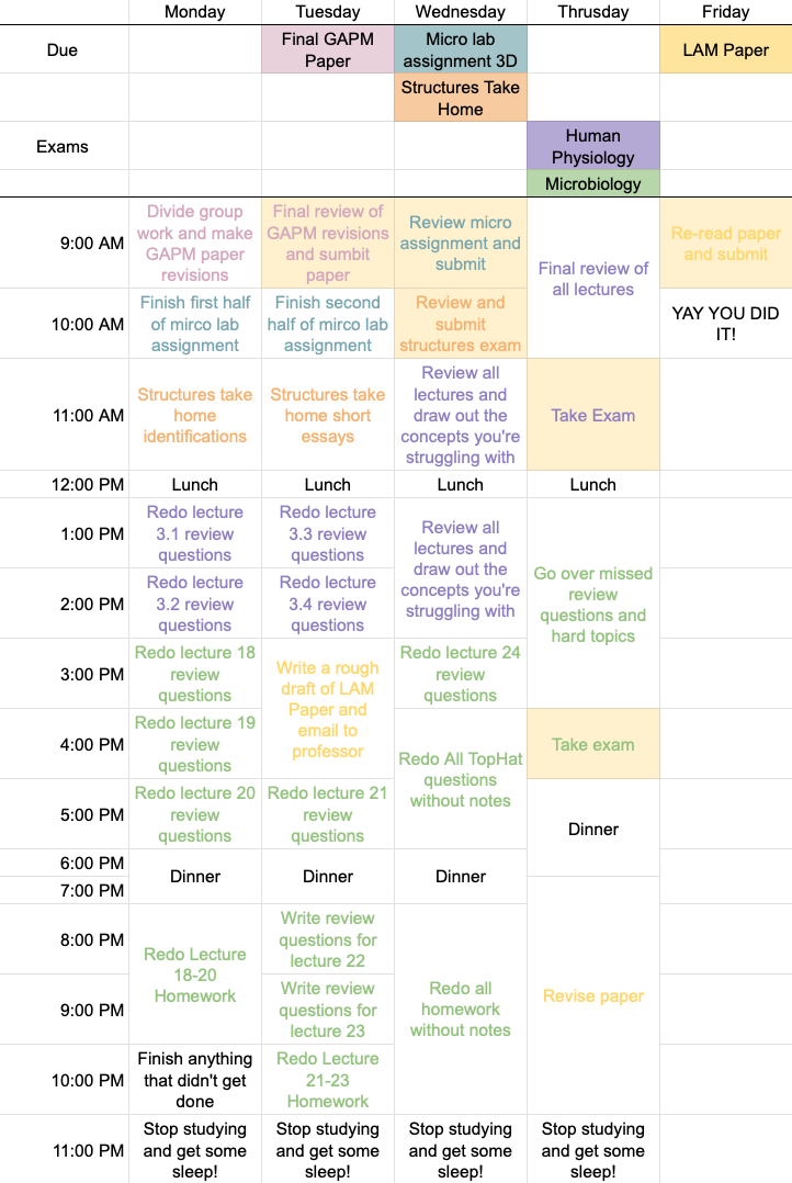 How to Make the Perfect Study Plan for Finals Week